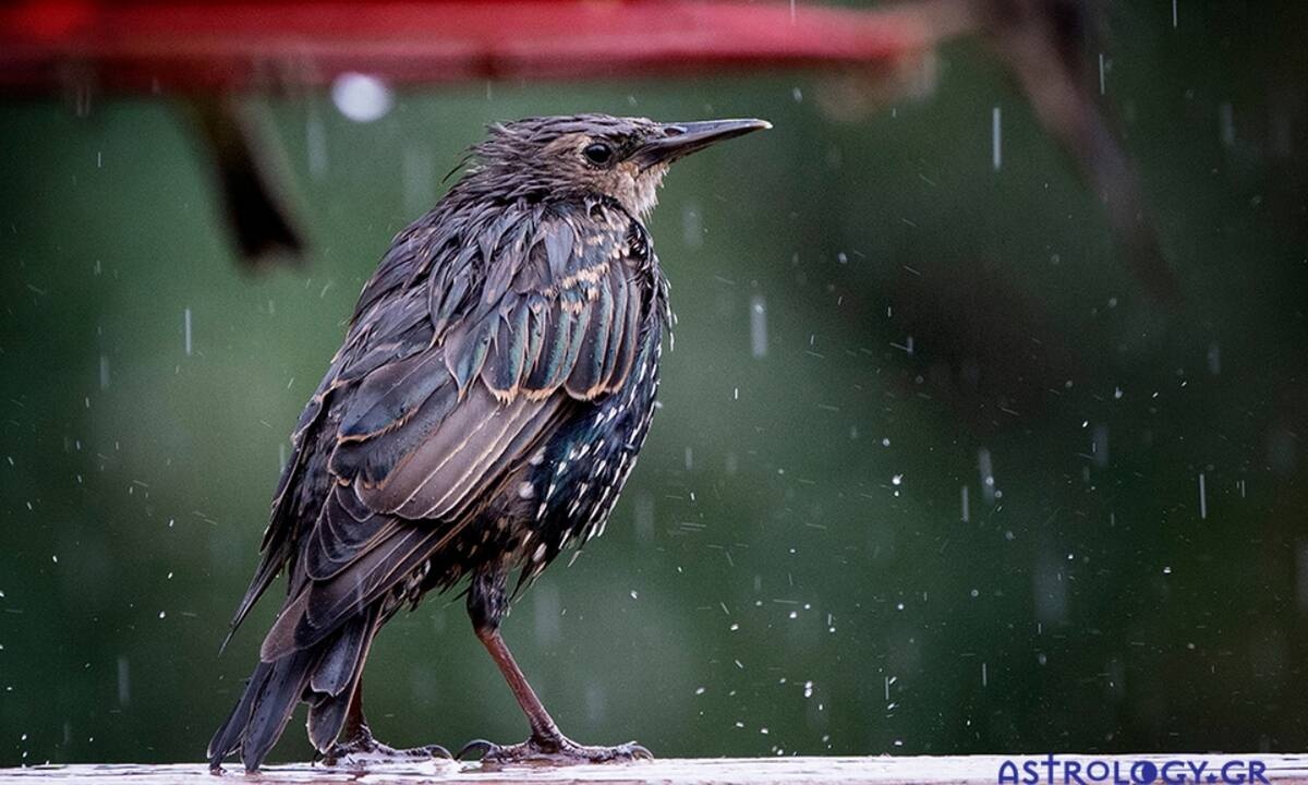 Διάβασε ΔΩΡΕΑΝ την προσωπική σου πρόβλεψη, για σήμερα 14/11/2020