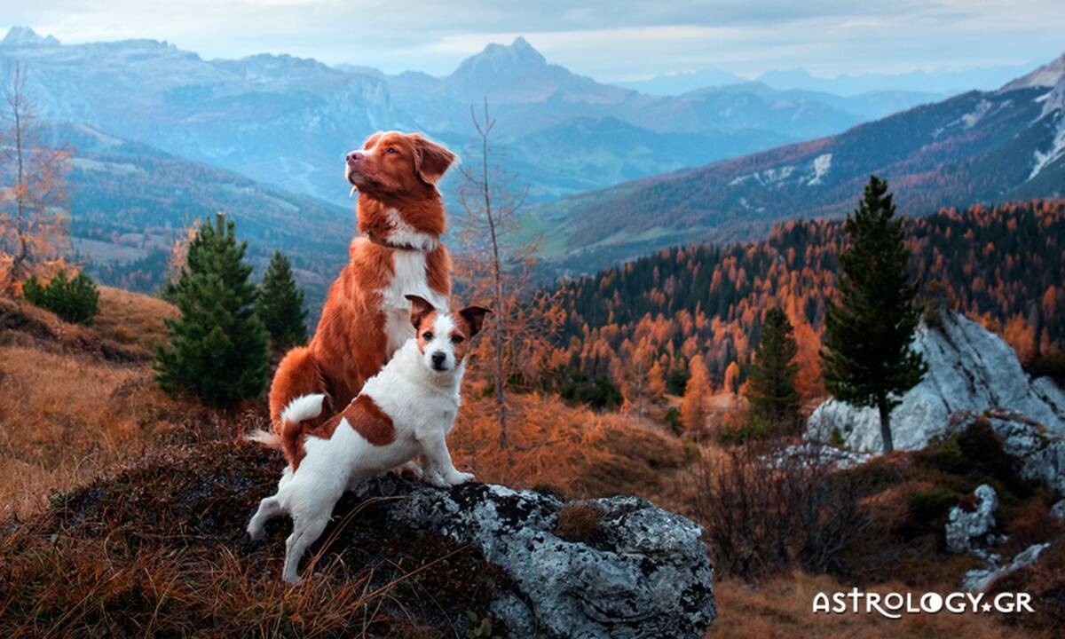 Διάβασε ΔΩΡΕΑΝ την προσωπική σου πρόβλεψη, για σήμερα 17/11/2020
