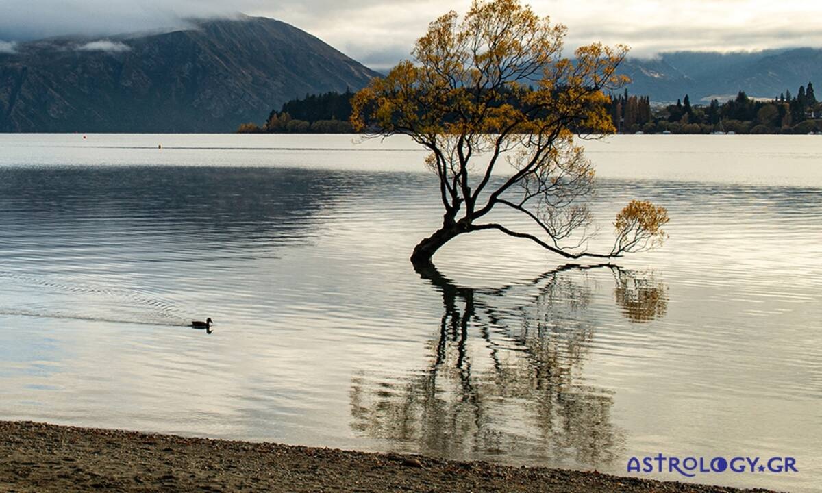 Διάβασε ΔΩΡΕΑΝ την προσωπική σου πρόβλεψη, για σήμερα 23/11/2020