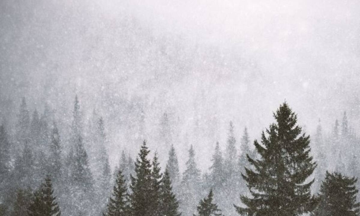 Αυτά τα ζώδια θα έχουν έναν δύσκολο Δεκέμβριο