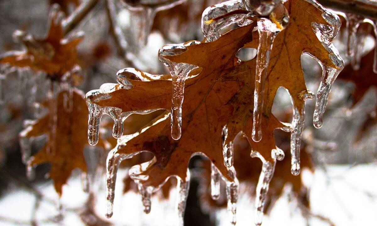 Διάβασε ΔΩΡΕΑΝ την προσωπική σου πρόβλεψη, για σήμερα 01/12/2020