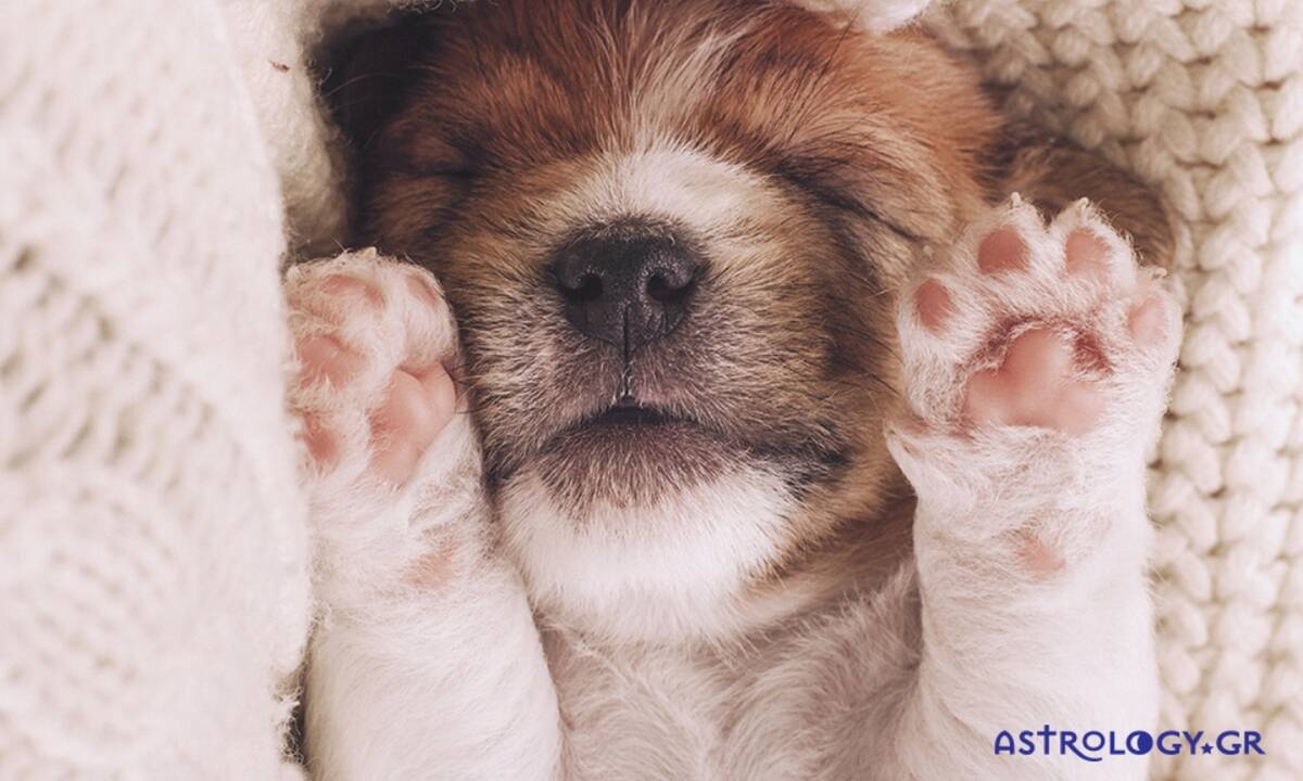 Διάβασε ΔΩΡΕΑΝ την προσωπική σου πρόβλεψη, για σήμερα 02/12/2020