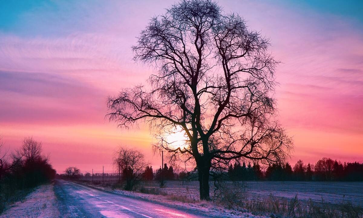 Διάβασε ΔΩΡΕΑΝ την προσωπική σου πρόβλεψη, για σήμερα 03/12/2020