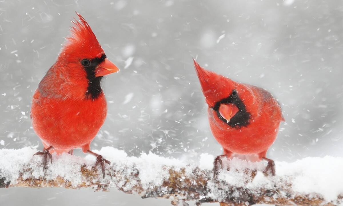 Διάβασε ΔΩΡΕΑΝ την προσωπική σου πρόβλεψη, για σήμερα 08/12/2020