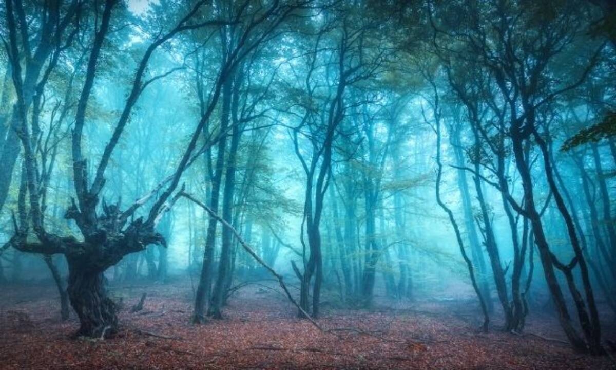 Σήμερα 09/12: Τοπίο στην ομίχλη