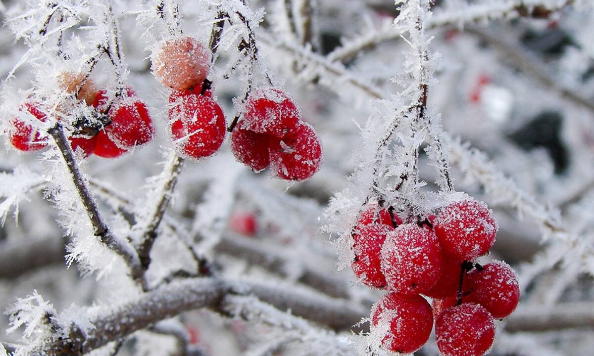 Διάβασε ΔΩΡΕΑΝ την προσωπική σου πρόβλεψη, για σήμερα 13/12/2020