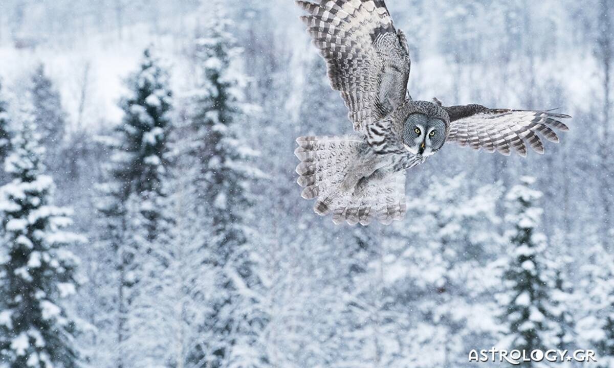 Διάβασε ΔΩΡΕΑΝ την προσωπική σου πρόβλεψη, για σήμερα 14/12/2020