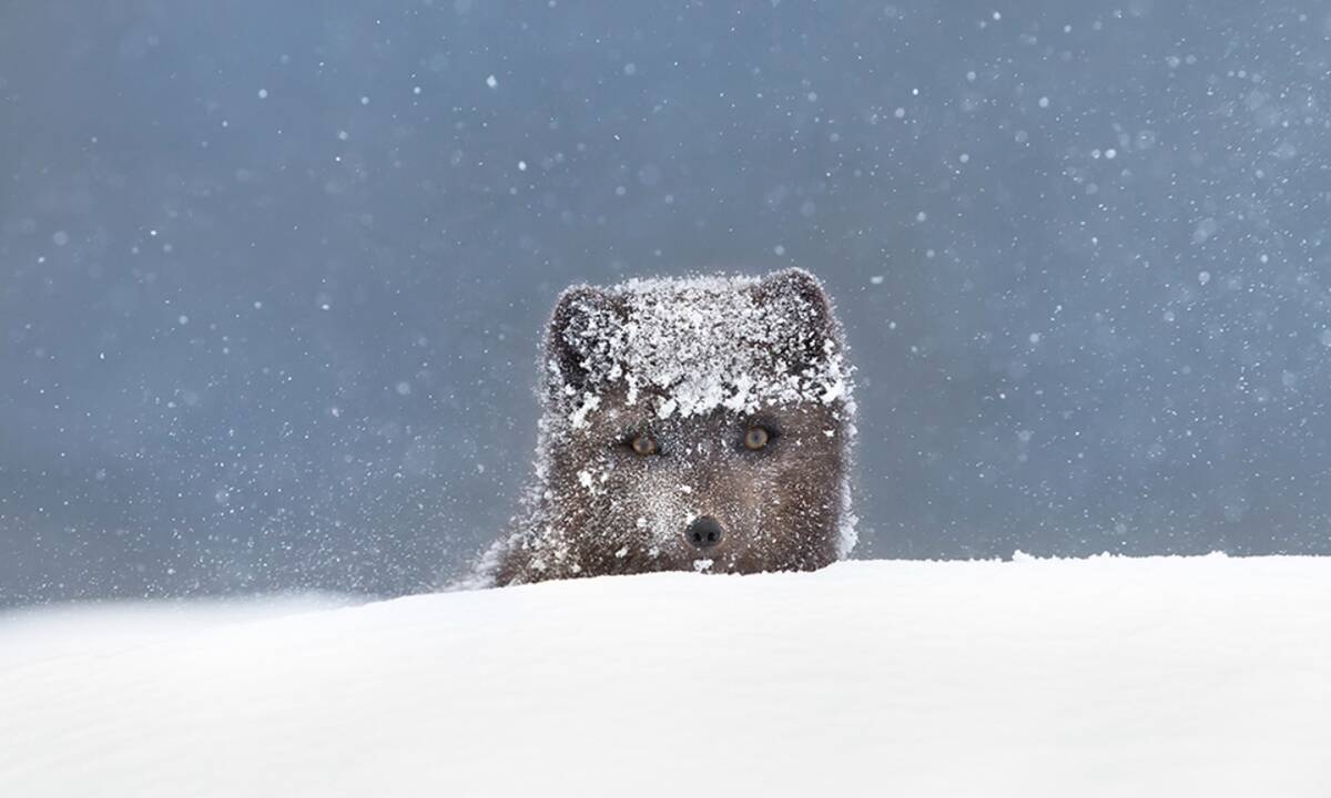 Διάβασε ΔΩΡΕΑΝ την προσωπική σου πρόβλεψη, για σήμερα 16/12/2020