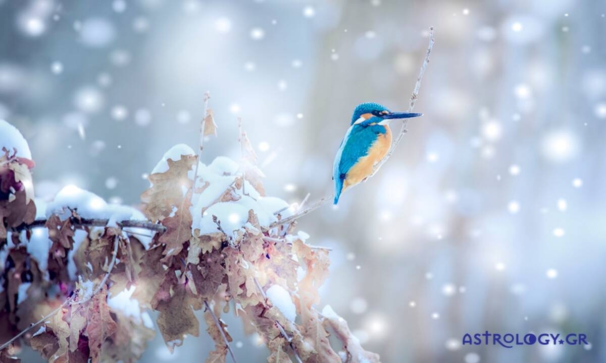 Διάβασε ΔΩΡΕΑΝ την προσωπική σου πρόβλεψη, για σήμερα 20/12/2020