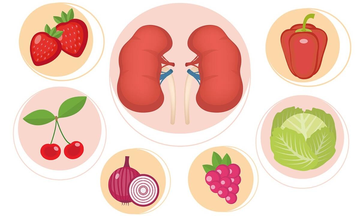 Νεφρά: 14 υπερτροφές που βελτιώνουν την υγεία τους (βίντεο)