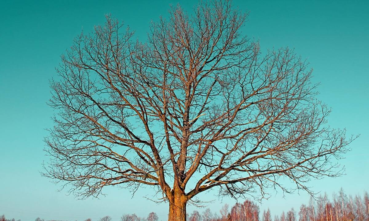 Τι λένε τα άστρα για τον Ιανουάριο του 2021;