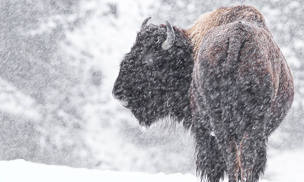 Διάβασε ΔΩΡΕΑΝ την προσωπική σου πρόβλεψη, για σήμερα 04/01/2021