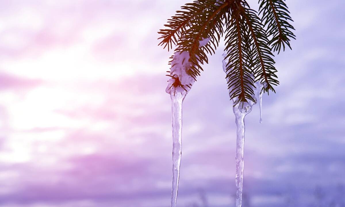 Διάβασε ΔΩΡΕΑΝ την προσωπική σου πρόβλεψη, για σήμερα 08/01/2021