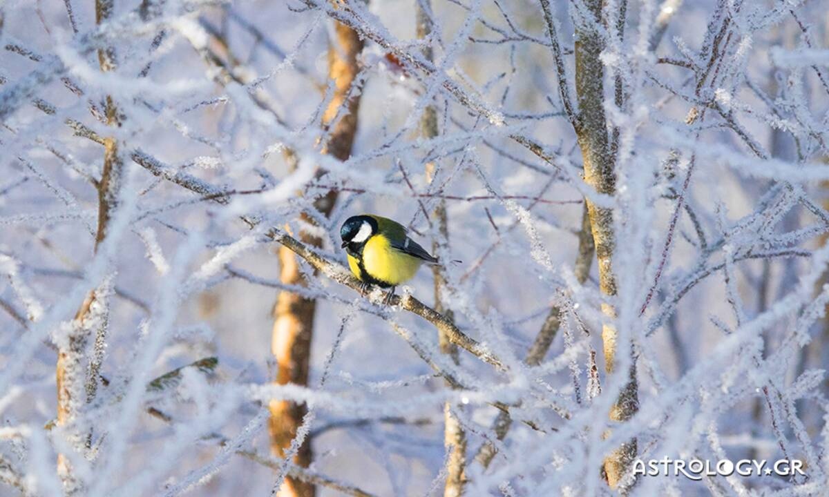 Διάβασε ΔΩΡΕΑΝ την προσωπική σου πρόβλεψη, για σήμερα 09/01/2021