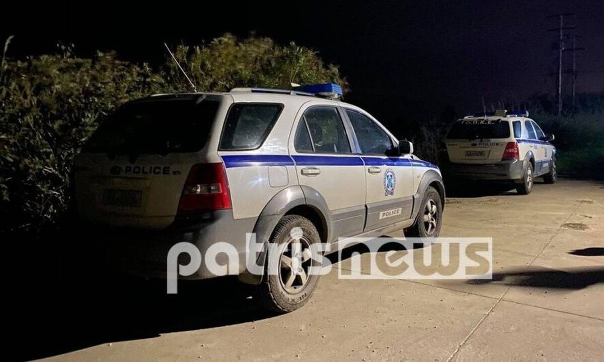 Τραγωδία στην Ηλεία: Νεκρός 56χρονος - Τον κατασπάραξαν σκυλιά