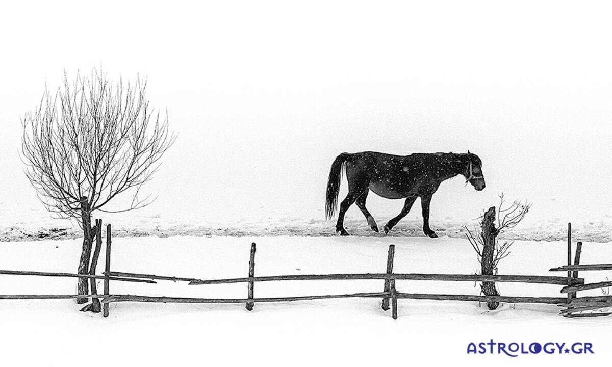 Διάβασε ΔΩΡΕΑΝ την προσωπική σου πρόβλεψη, για σήμερα 19/01/2021
