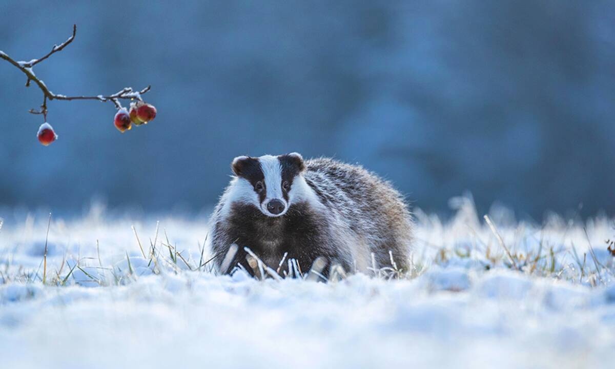 Διάβασε ΔΩΡΕΑΝ την προσωπική σου πρόβλεψη, για σήμερα 23/01/2021