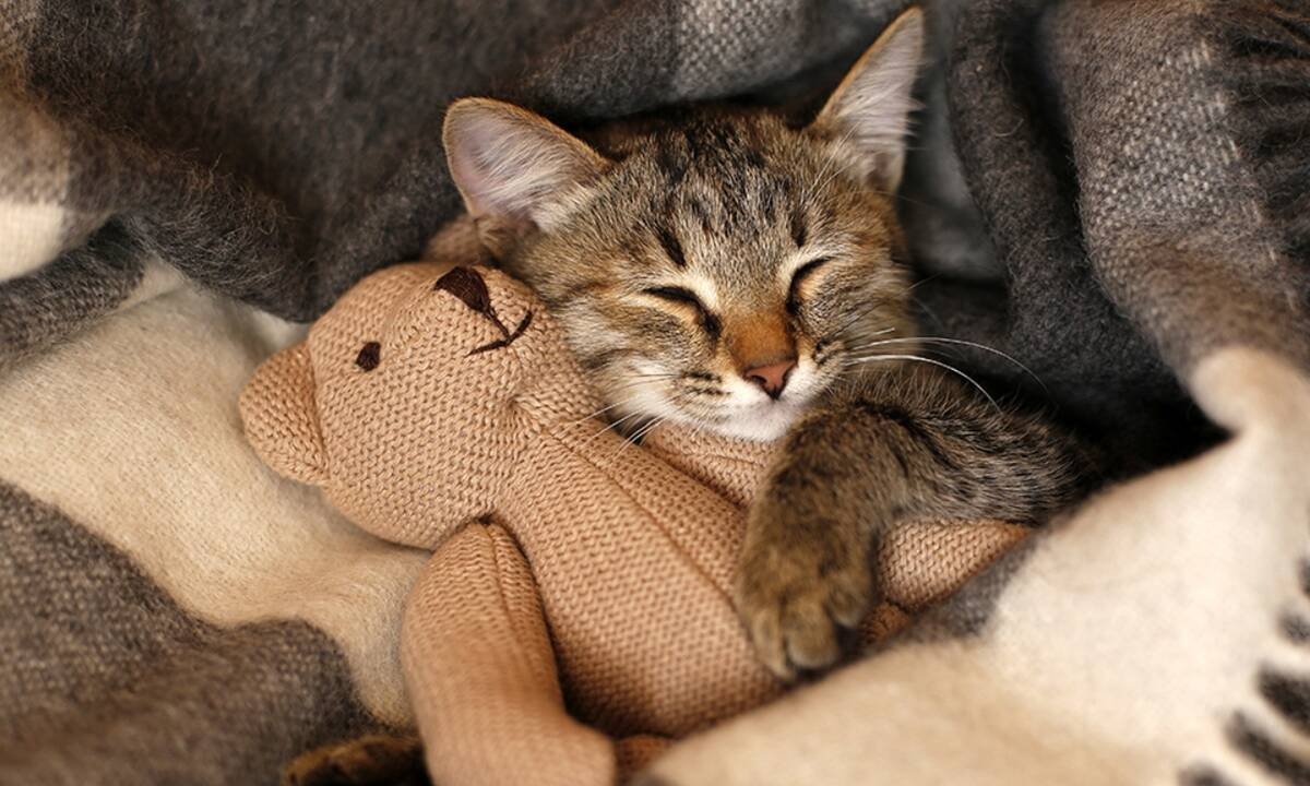 Διάβασε ΔΩΡΕΑΝ την προσωπική σου πρόβλεψη, για σήμερα 25/01/2021