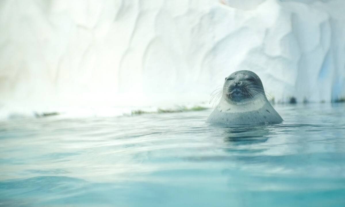 Διάβασε ΔΩΡΕΑΝ την προσωπική σου πρόβλεψη, για σήμερα 27/01/2021