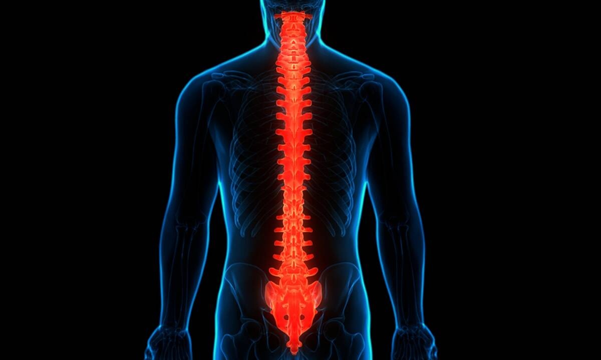 Νωτιαίο εγκεφαλικό επεισόδιο: Τι είναι και με ποια συμπτώματα εκδηλώνεται (εικόνες)