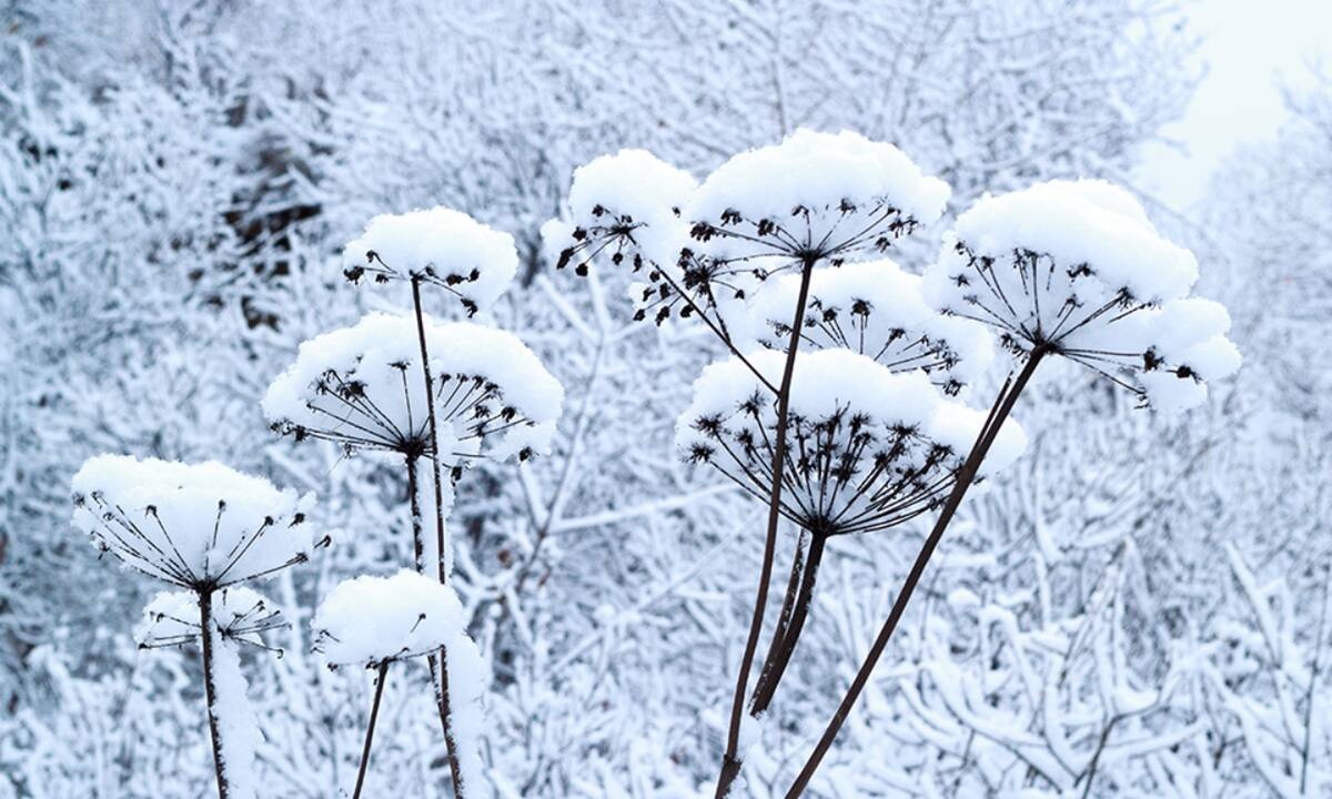 Διάβασε ΔΩΡΕΑΝ την προσωπική σου πρόβλεψη, για σήμερα 30/01/2021