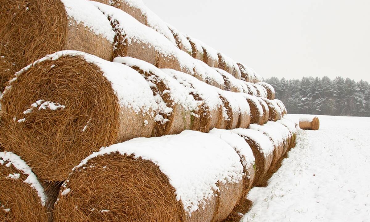 Διάβασε ΔΩΡΕΑΝ την προσωπική σου πρόβλεψη, για σήμερα 02/02/2021