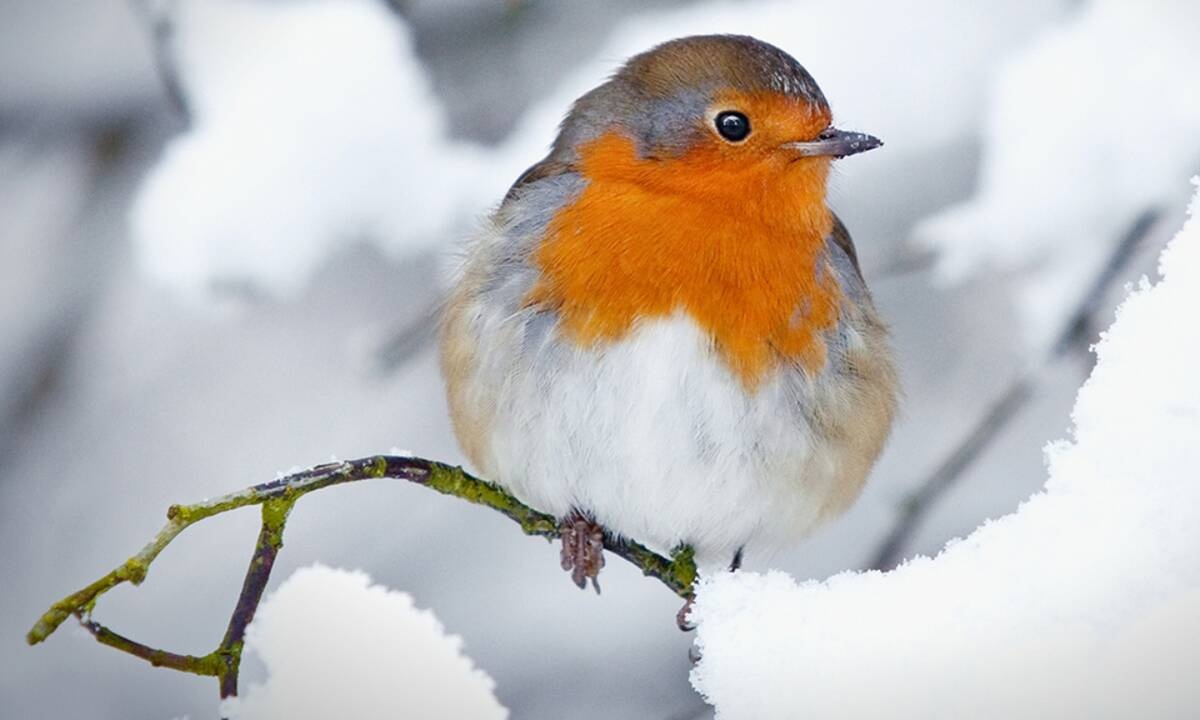 Διάβασε ΔΩΡΕΑΝ την προσωπική σου πρόβλεψη, για σήμερα 03/02/2021