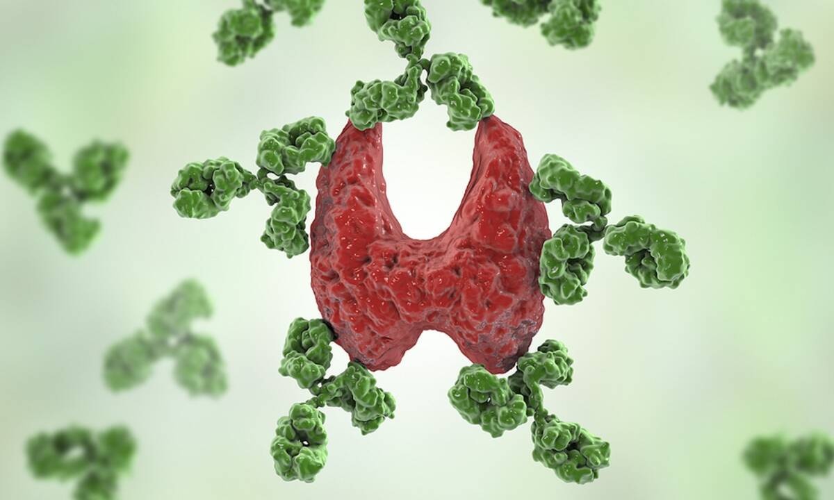 Τα θρεπτικά συστατικά που χρειάζεται ο θυρεοειδής & πού θα τα βρείτε