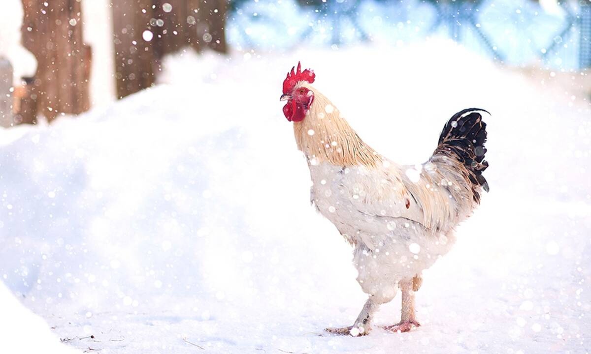 Διάβασε ΔΩΡΕΑΝ την προσωπική σου πρόβλεψη, για σήμερα 09/02/2021