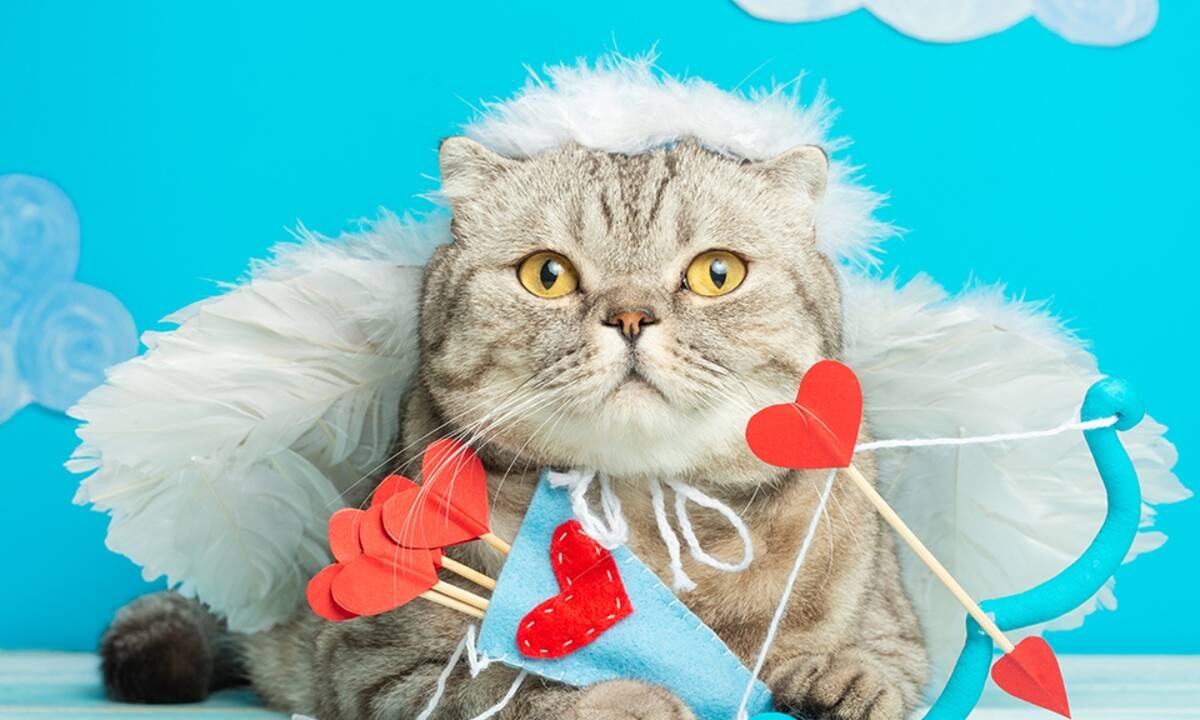 Διάβασε ΔΩΡΕΑΝ την προσωπική σου πρόβλεψη, για σήμερα 14/02/2021