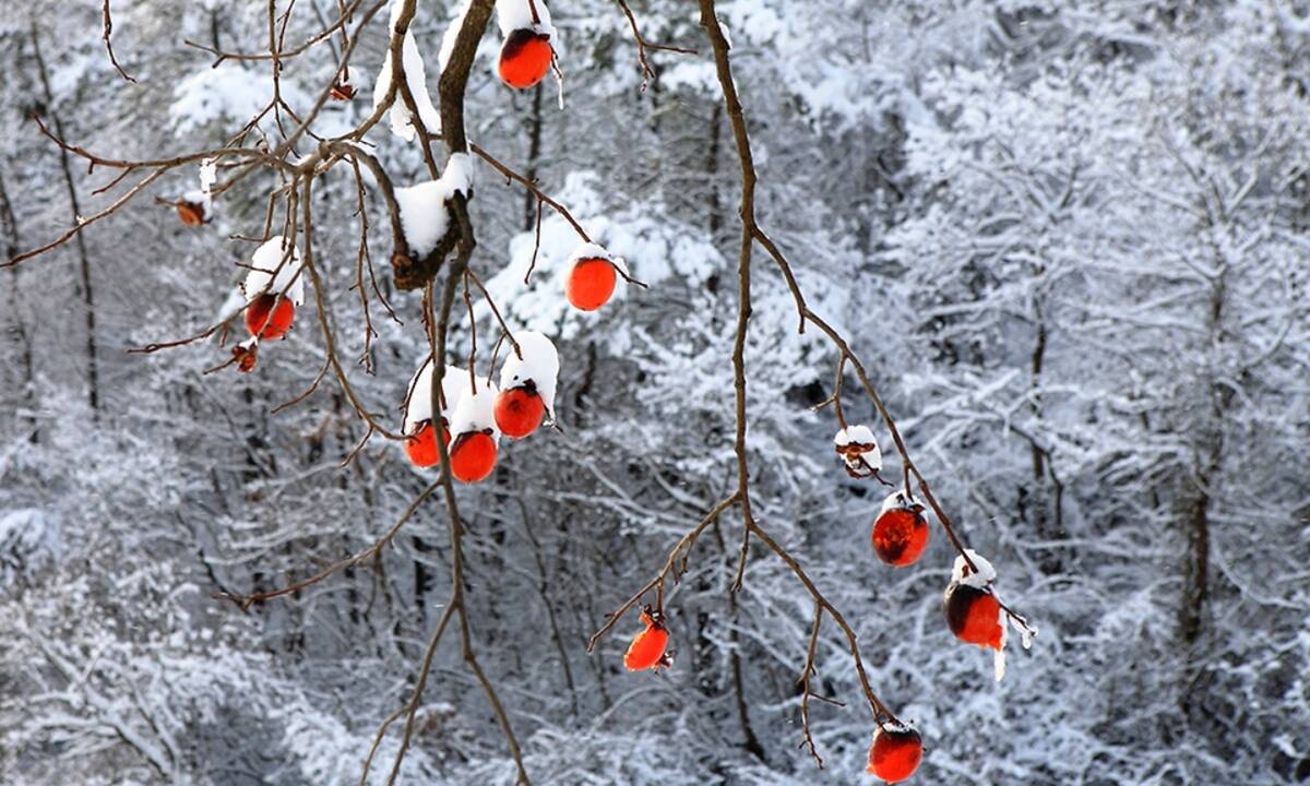 Διάβασε ΔΩΡΕΑΝ την προσωπική σου πρόβλεψη, για σήμερα 15/02/2021