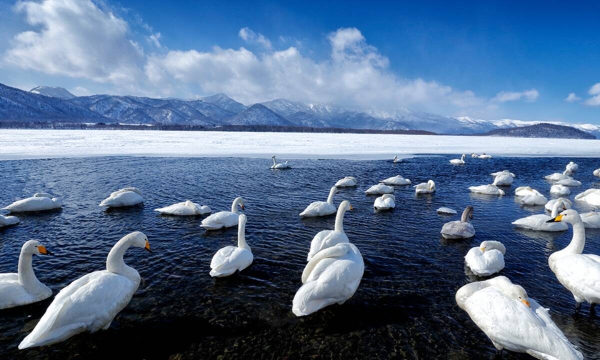 Διάβασε ΔΩΡΕΑΝ την προσωπική σου πρόβλεψη, για σήμερα 21/02/2021