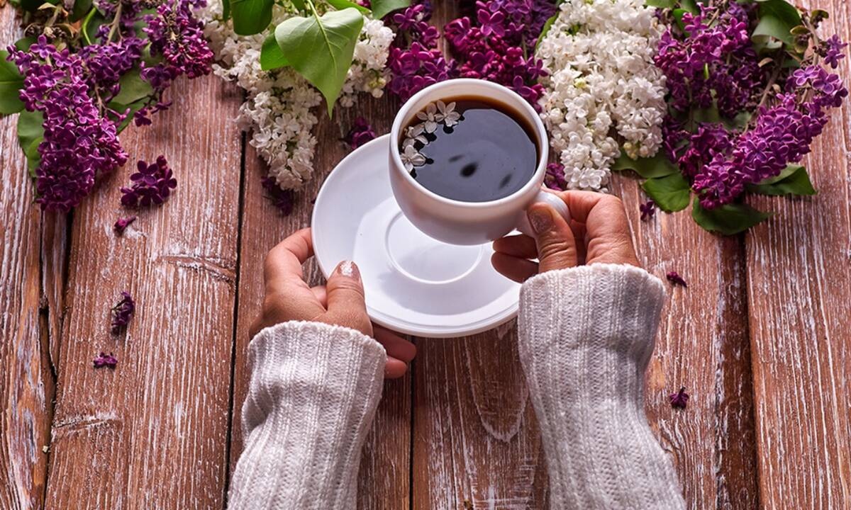 Ημερήσιες Προβλέψεις για όλα τα Ζώδια 02/03