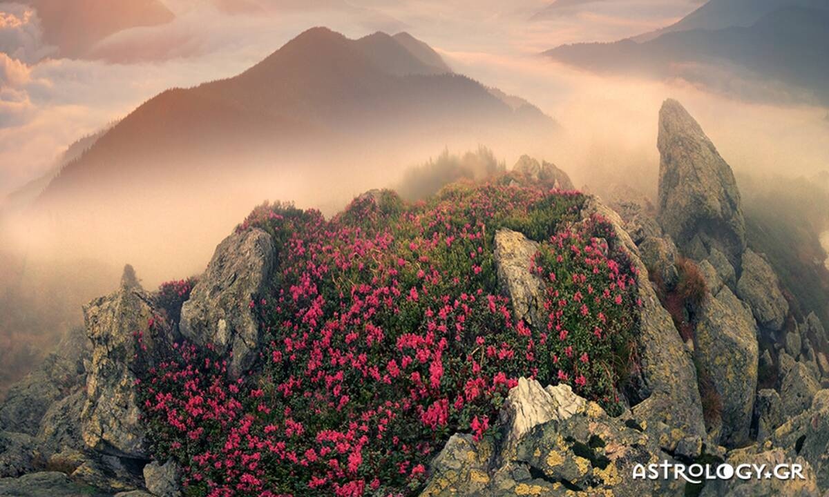 Διάβασε ΔΩΡΕΑΝ την προσωπική σου πρόβλεψη, για σήμερα 02/03/2021