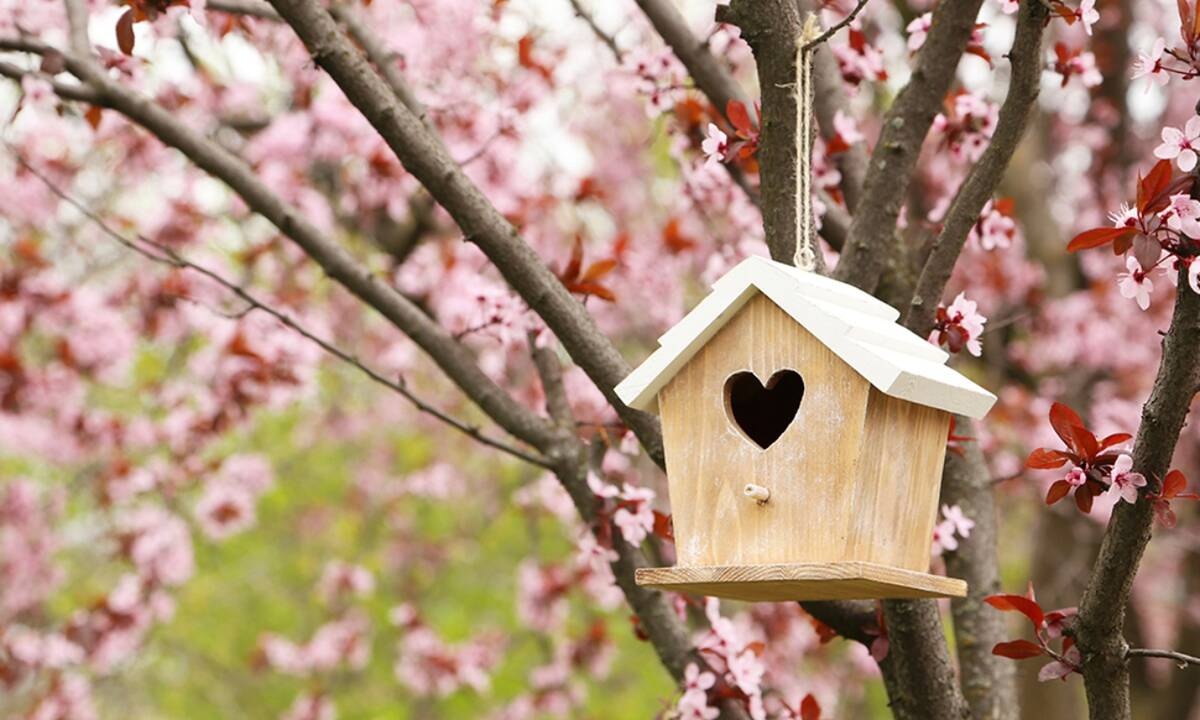 Προβλέψεις για τα αισθηματικά του ζωδίου σου, σήμερα 12/03