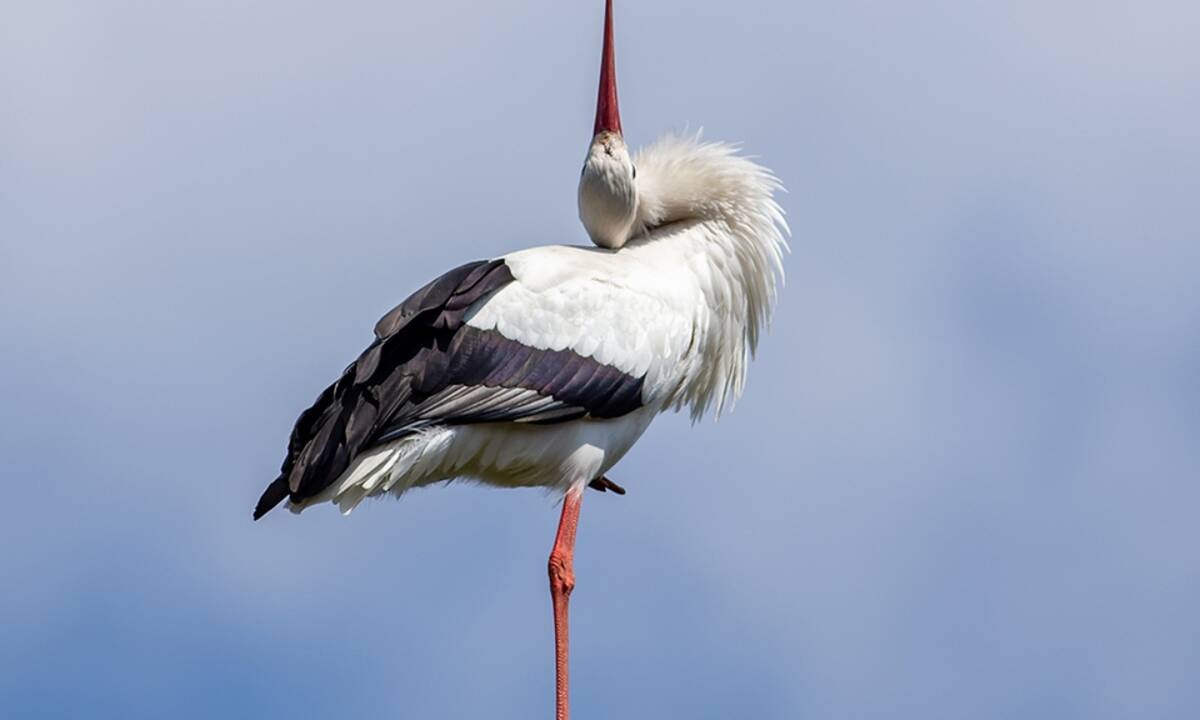 Διάβασε ΔΩΡΕΑΝ την προσωπική σου πρόβλεψη, για σήμερα 15/03/2021