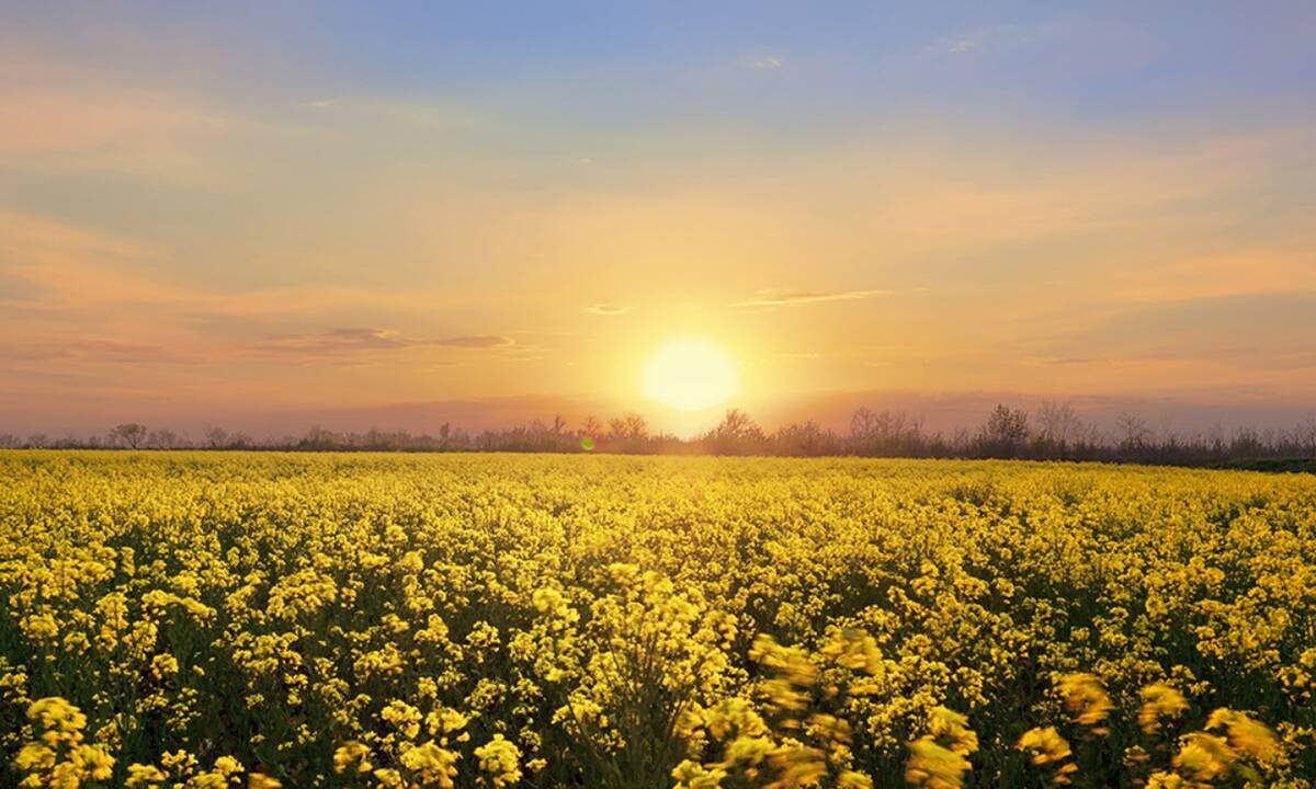 Διάβασε ΔΩΡΕΑΝ την προσωπική σου πρόβλεψη, για σήμερα 16/03/2021