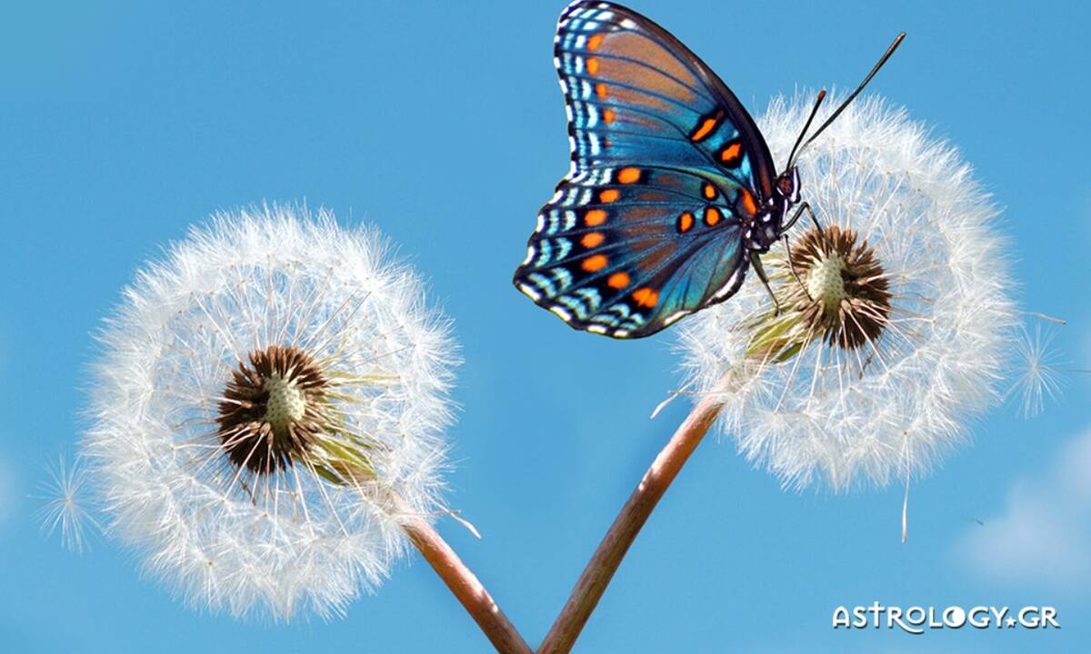 Διάβασε ΔΩΡΕΑΝ την προσωπική σου πρόβλεψη, για σήμερα 21/03/2021