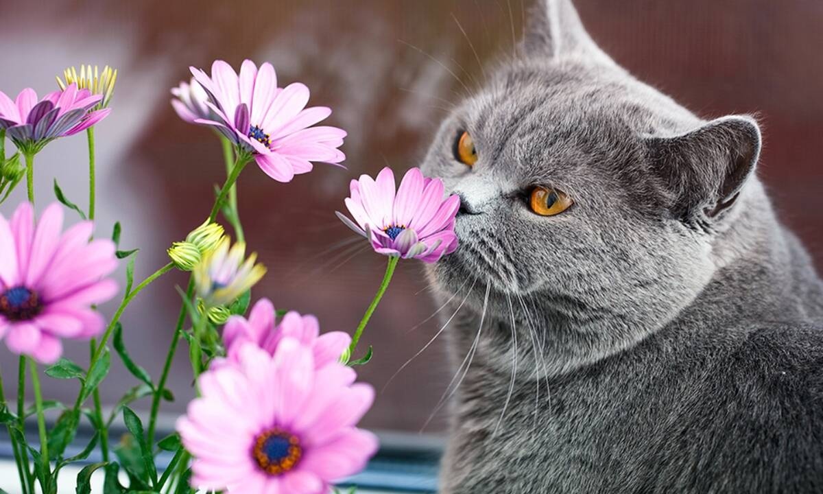 Διάβασε ΔΩΡΕΑΝ την προσωπική σου πρόβλεψη, για σήμερα 23/03/2021