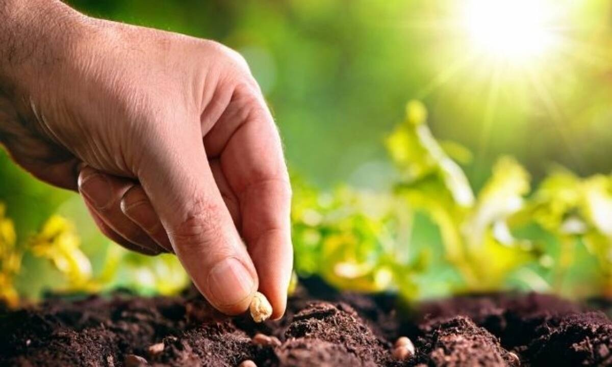 Σήμερα 31/03:  Η προσπάθεια φέρνει καρπούς