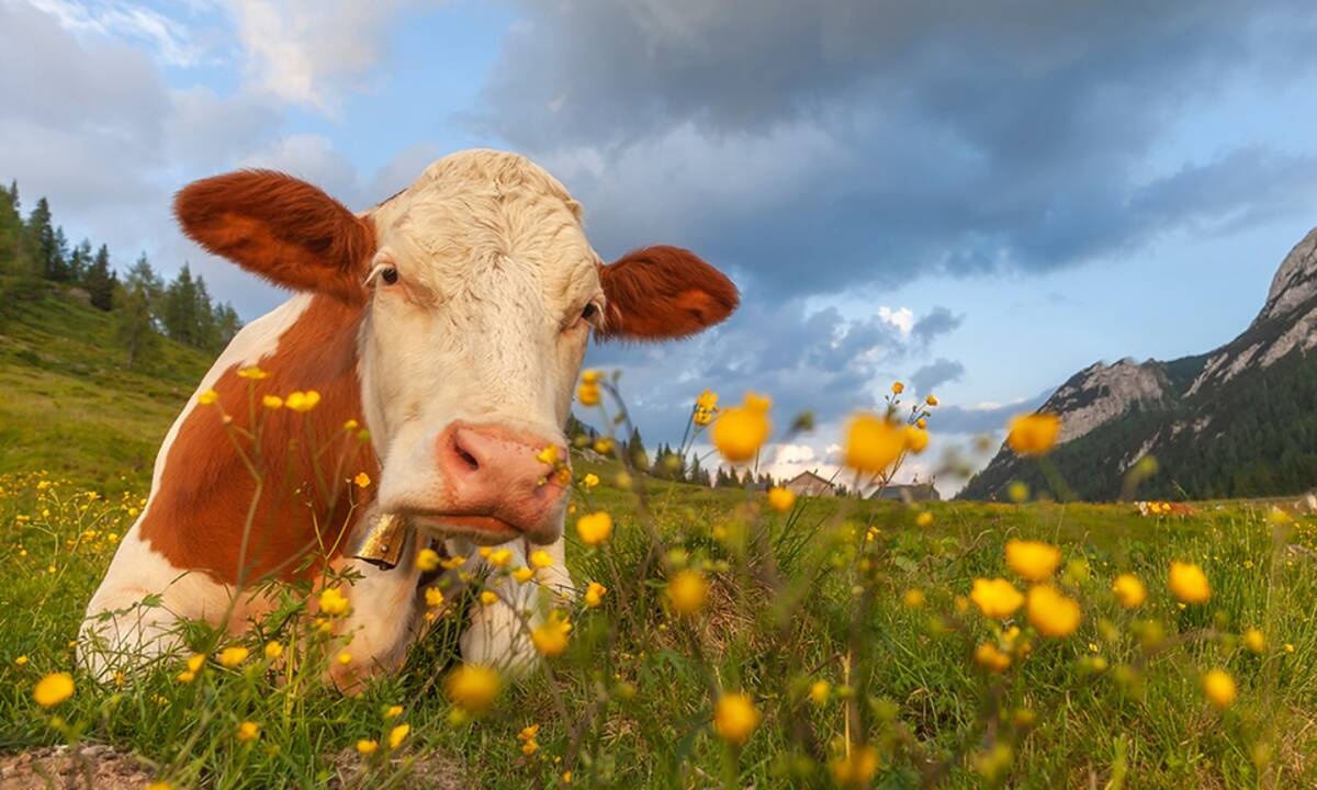 Διάβασε ΔΩΡΕΑΝ την προσωπική σου πρόβλεψη, για σήμερα 29/03/2021