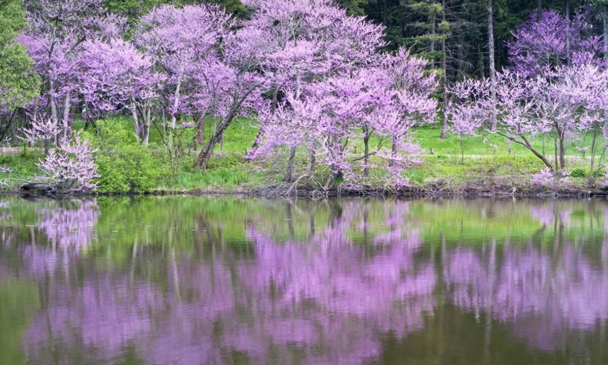 Διάβασε ΔΩΡΕΑΝ την προσωπική σου πρόβλεψη, για σήμερα 30/03/2021