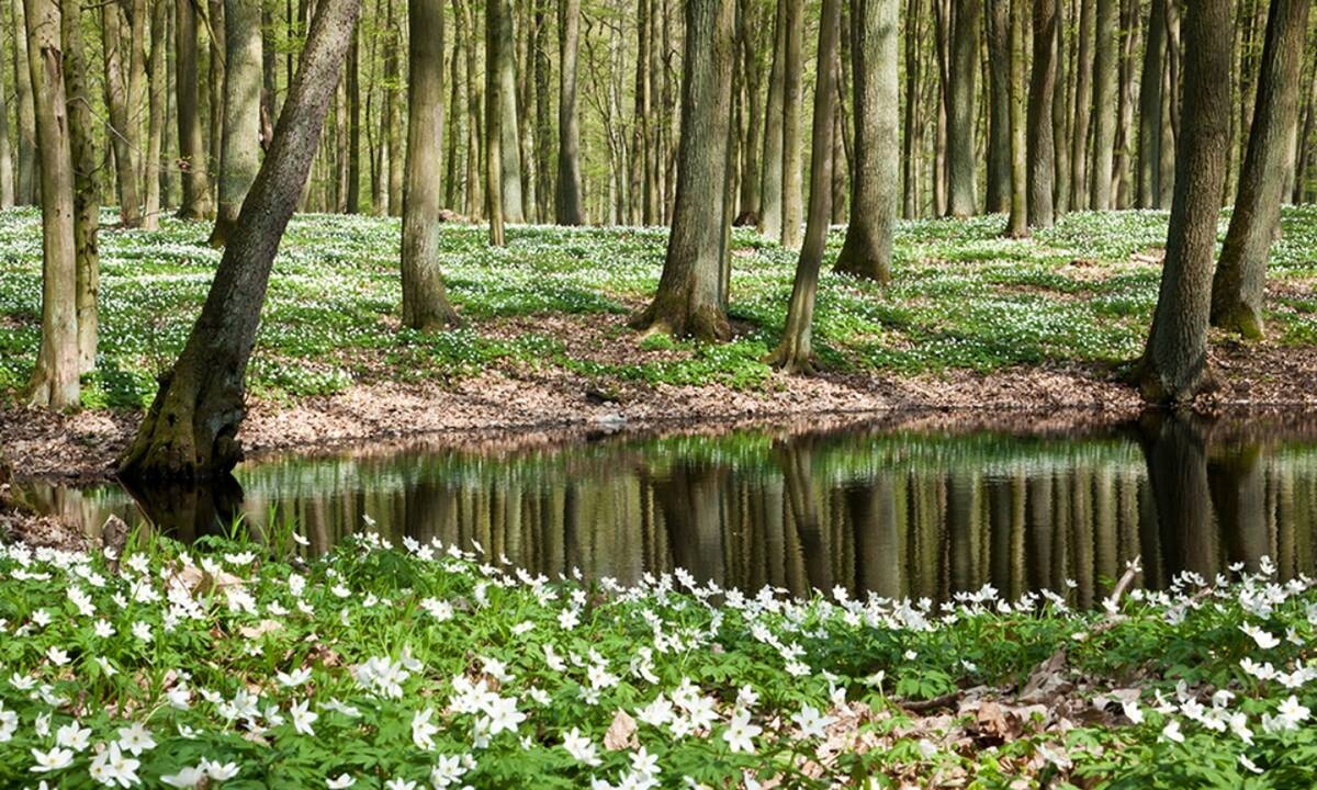 Διάβασε ΔΩΡΕΑΝ την προσωπική σου πρόβλεψη, για σήμερα 01/04/2021