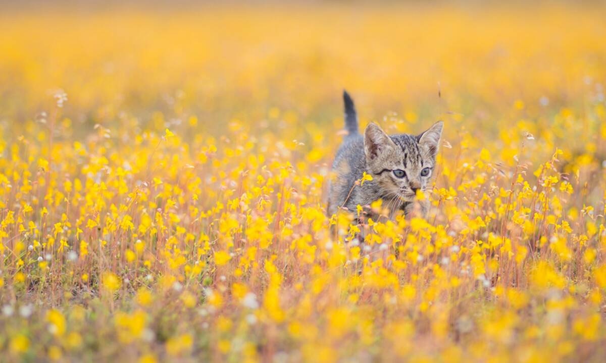 Διάβασε ΔΩΡΕΑΝ την προσωπική σου πρόβλεψη, για σήμερα 02/04/2021
