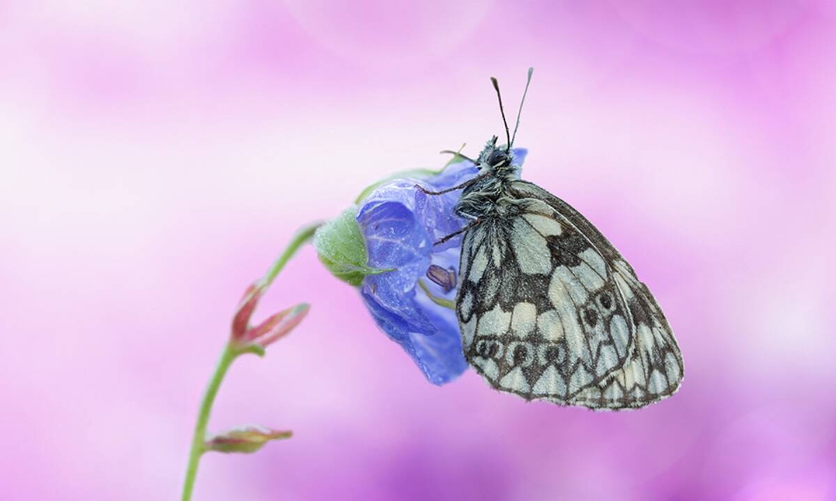 Διάβασε ΔΩΡΕΑΝ την προσωπική σου πρόβλεψη, για σήμερα 06/04/2021