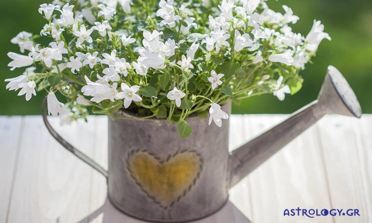 Προβλέψεις για τα αισθηματικά του ζωδίου σου, σήμερα 06/04