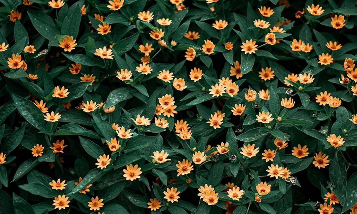 Διάβασε ΔΩΡΕΑΝ την προσωπική σου πρόβλεψη, για σήμερα 07/04/2021