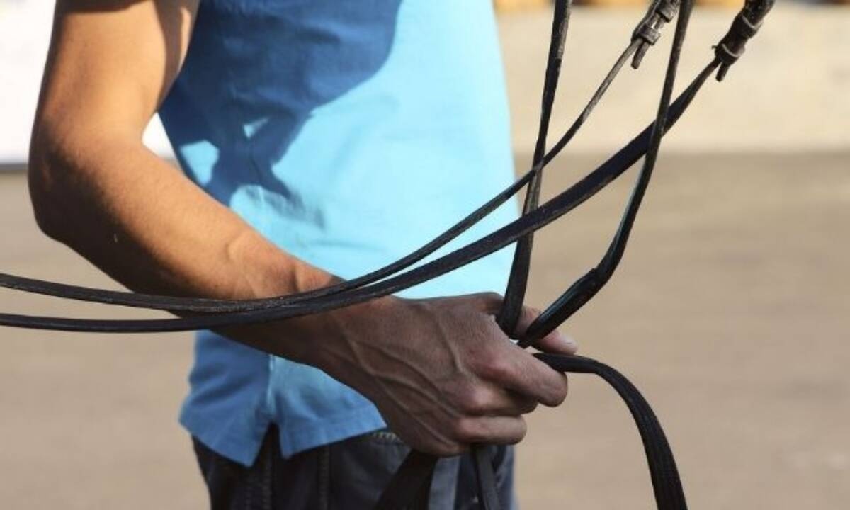 Σήμερα 13/4: Πάρε τα ηνία στα χέρια σου
