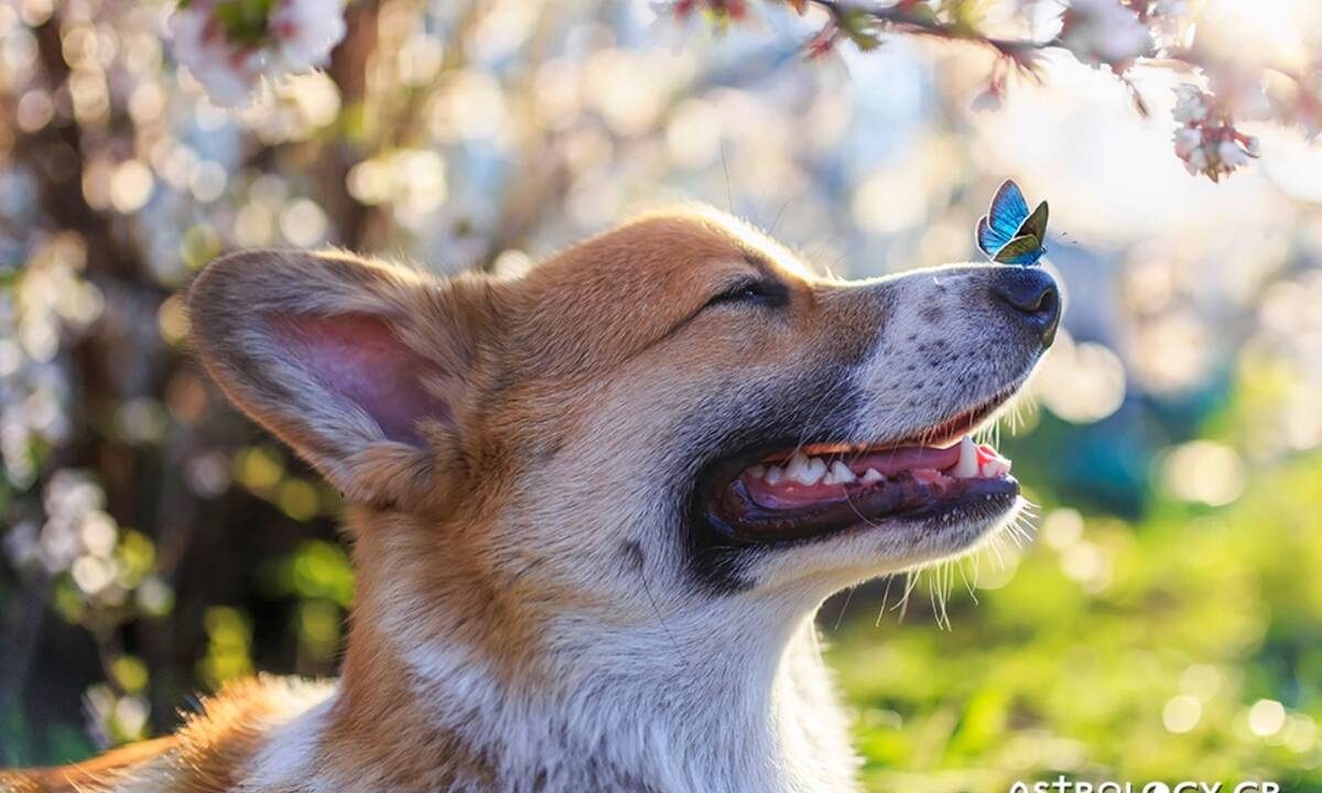 Διάβασε ΔΩΡΕΑΝ την προσωπική σου πρόβλεψη, για σήμερα 08/04/2021