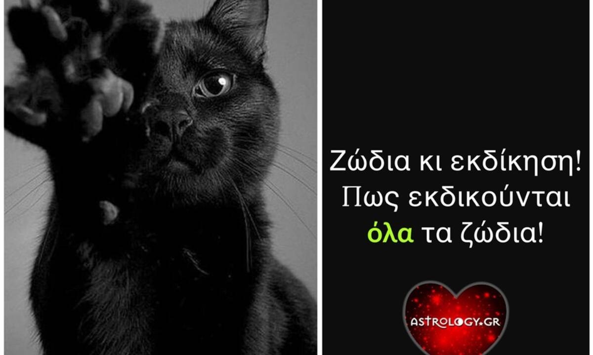 Έτσι εκδικείται το κάθε ζώδιο!
